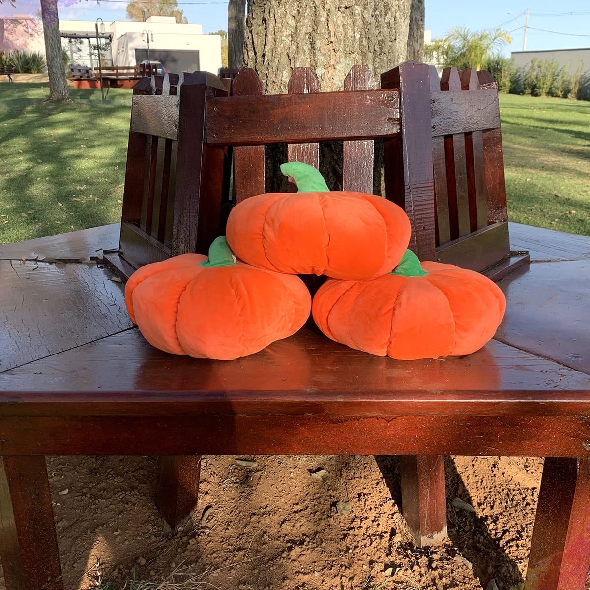 o Dia das Bruxas Almofada,Almofada Sofá Pelúcia Recheada, Halloween  Recheado em Forma Biscoito Redondo, Bruxa Fofa/Gato Preto/Abóbora  Decorações Ação Graças Dalian