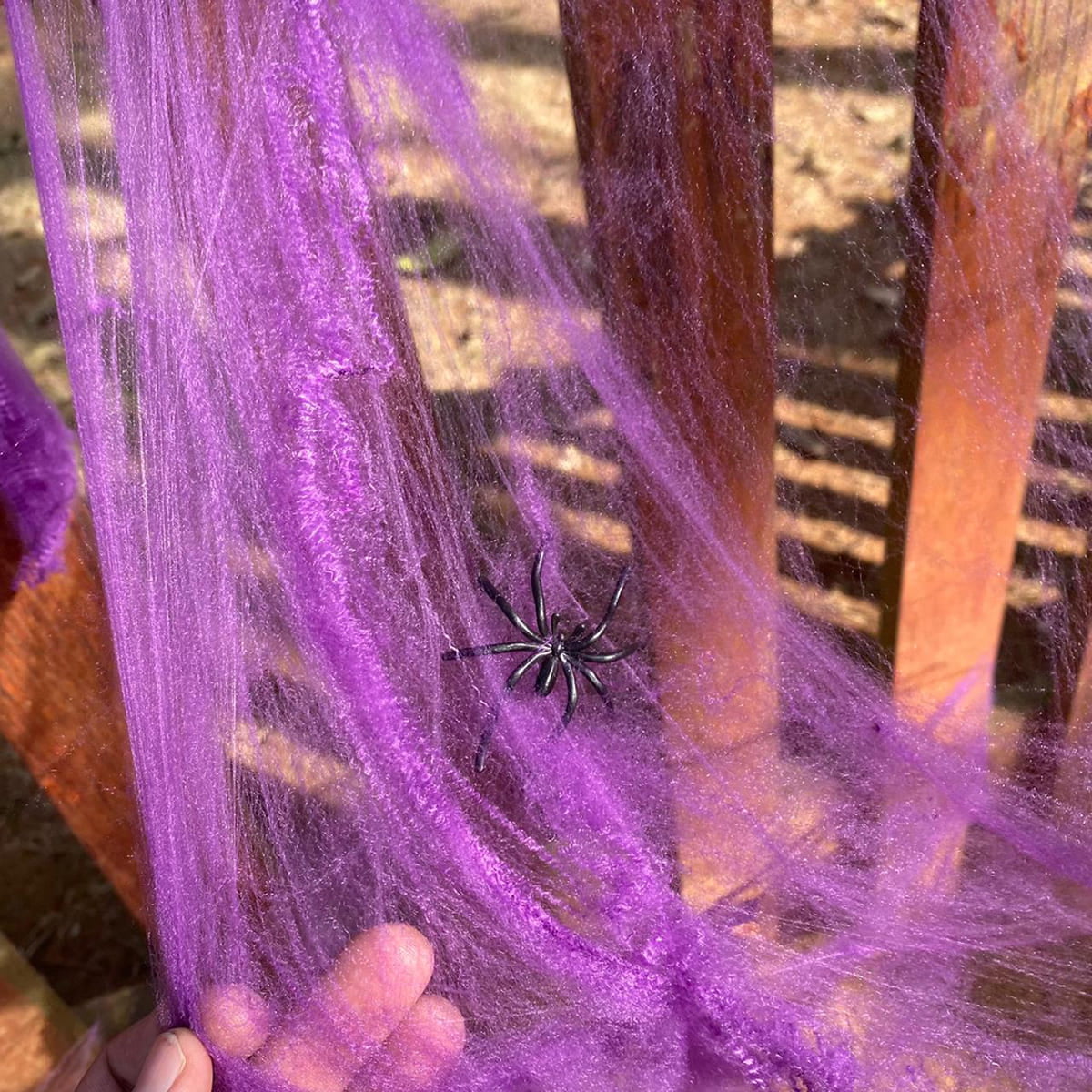 O que significa ver uma aranha no halloween? 