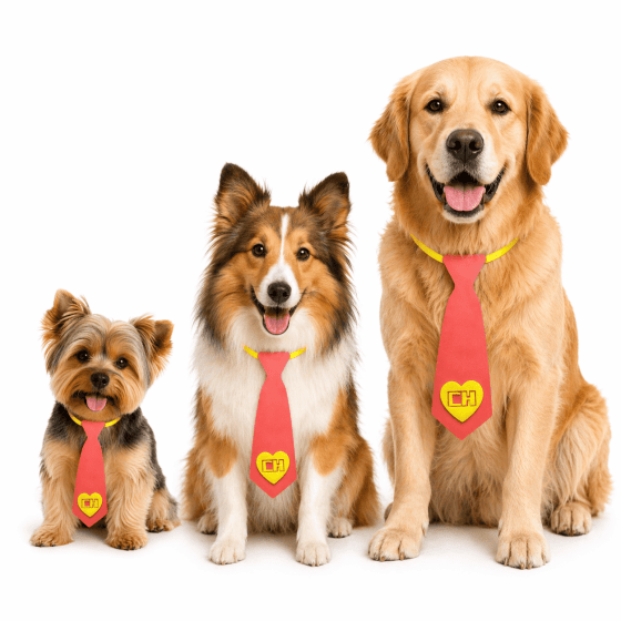 Gravatas Divertidas Para Pets - Pacote com 10 unidades