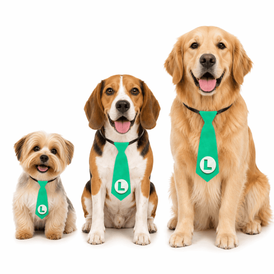 Gravatas Divertidas Para Pets - Pacote com 10 unidades