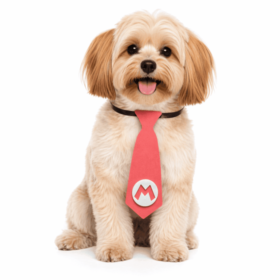 Gravatas Divertidas Para Pets - Pacote com 10 unidades