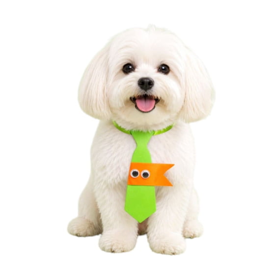 Gravatas Divertidas Para Pets - Pacote com 10 unidades