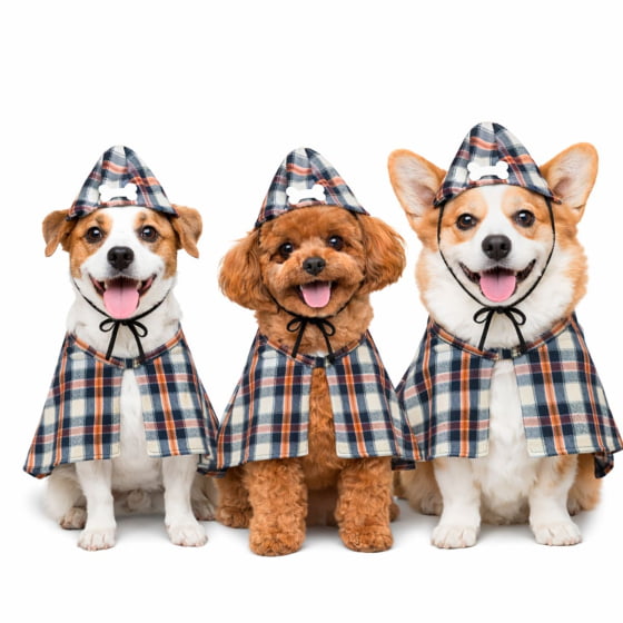 Kit Detetive para Pets Pequeno e Médio Porte