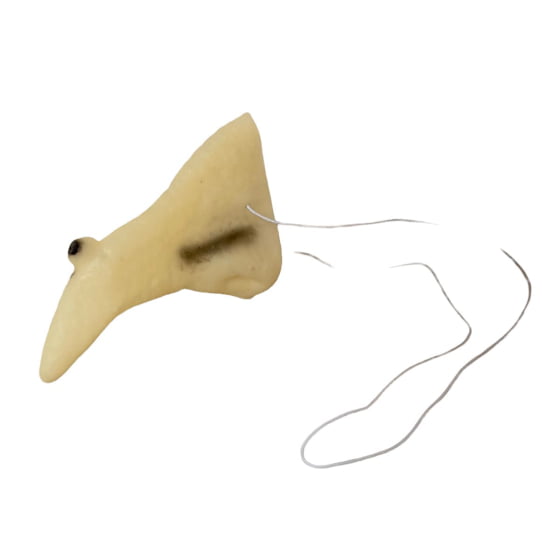 Kit 3 Itens Fantasia Bruxa Feminina Adulto Saia Balde Nariz