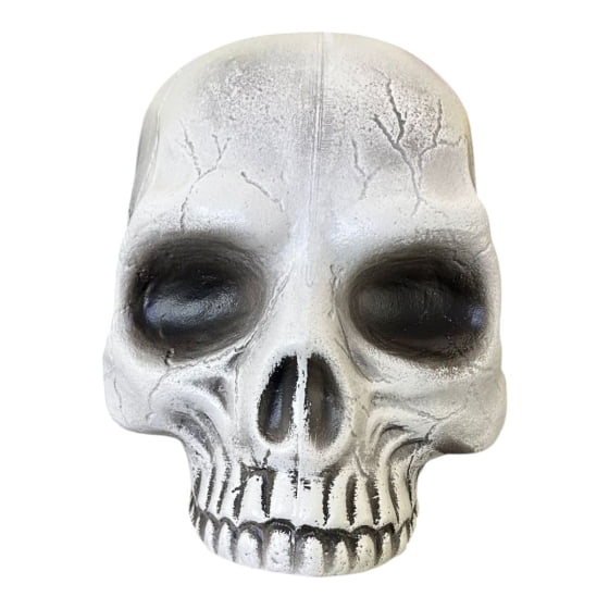 Cabeça Crânio Esqueleto Caveira Skull de Plástico