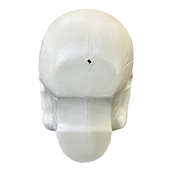 Cabeça Crânio Esqueleto Caveira Skull de Plástico