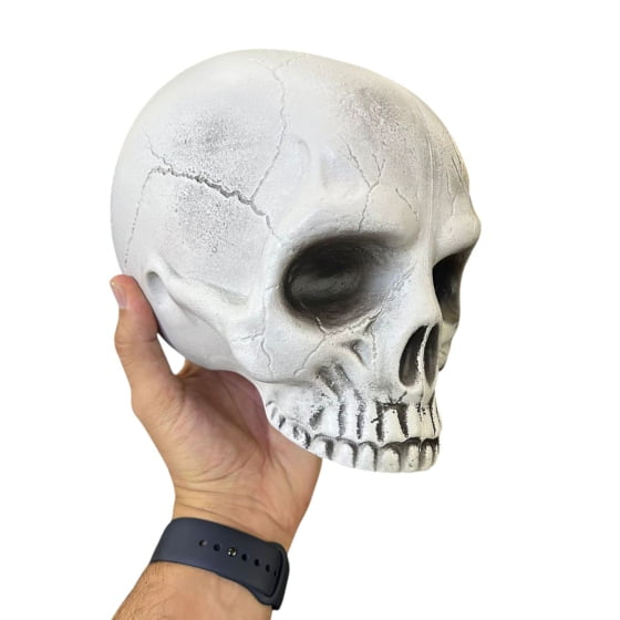 Cabeça Crânio Esqueleto Caveira Skull de Plástico