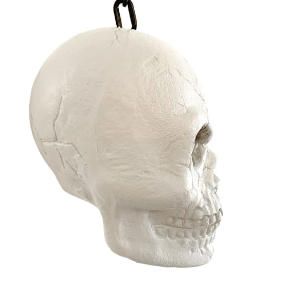 Caveira Cabeça Crânio Esqueleto na Corrente Branco