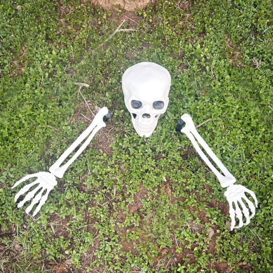 Enfeite Esqueleto de Jardim Decoração Halloween