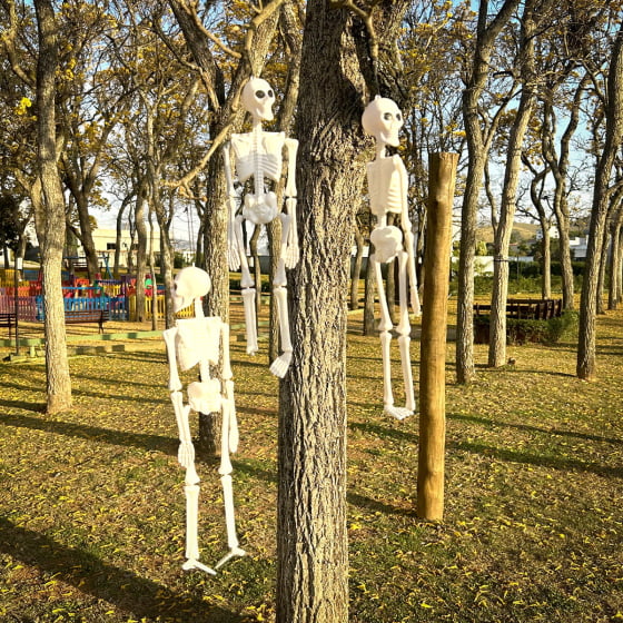 Esqueleto Caveira Plástico Decoração Halloween