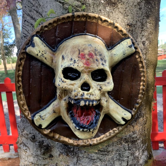 Placa Decorativa Caveira Pirata de Plástico