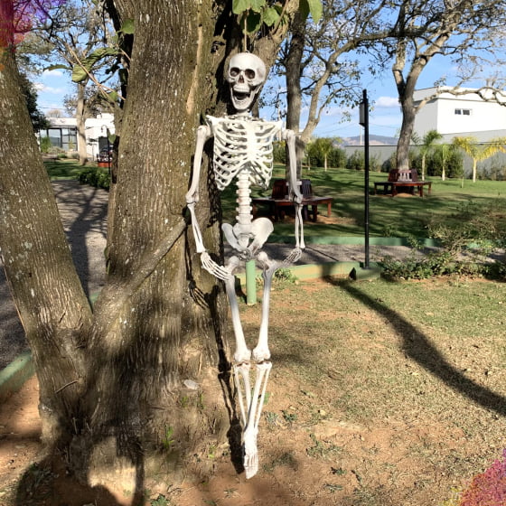 Esqueleto Caveira Halloween
