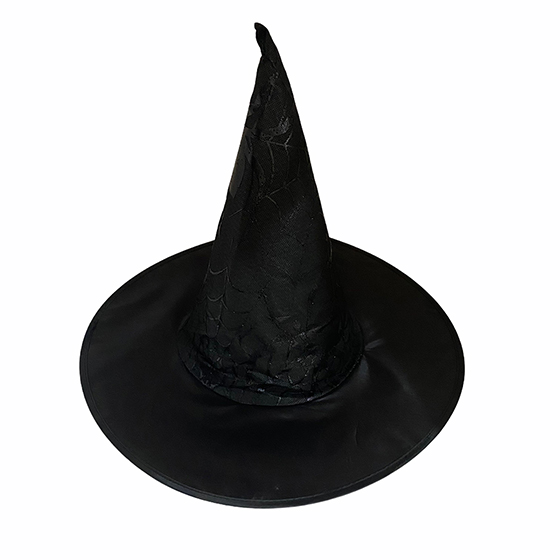 Chapéu de Bruxa Importado Preto com Teia de Aranha