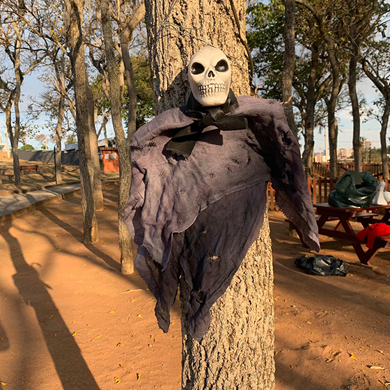 Enfeite Assustador Terror Cabeça de Esqueleto com Cachecol Decoração de Halloween